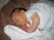 Arik